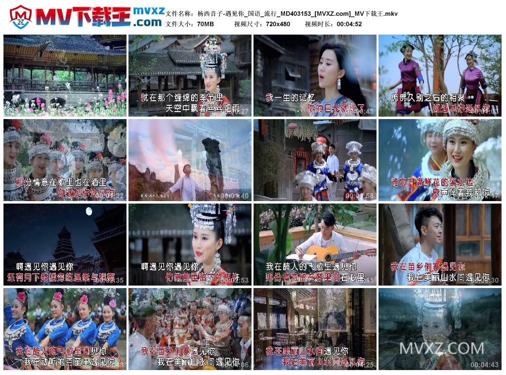 杨西音子-遇见你_国语_流行_MD403153